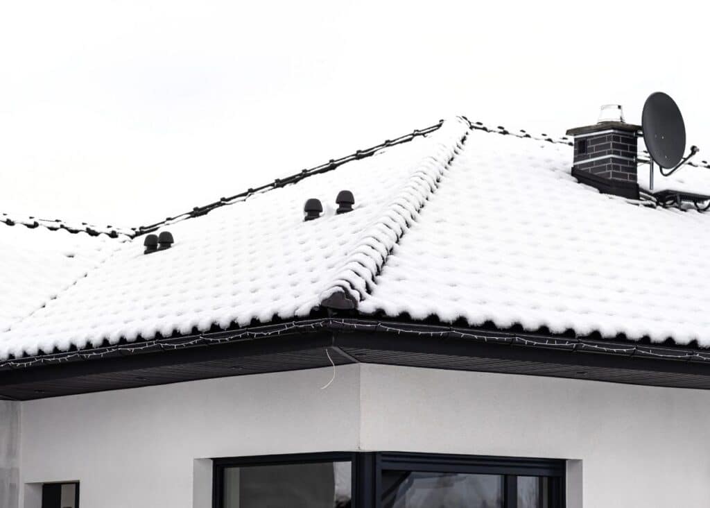 Header Image Resized